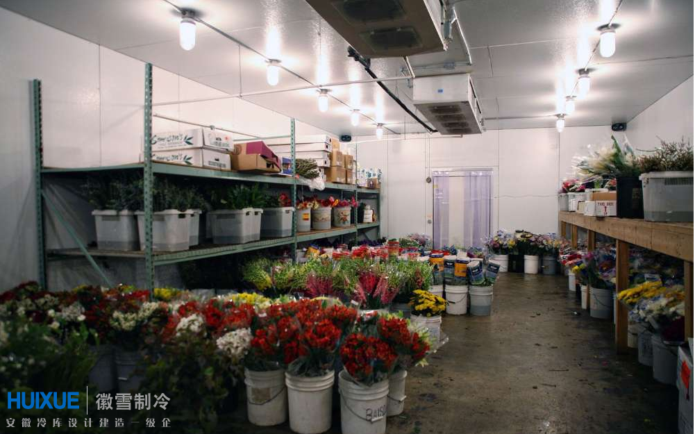 鲜花保鲜冷库设计安装建造